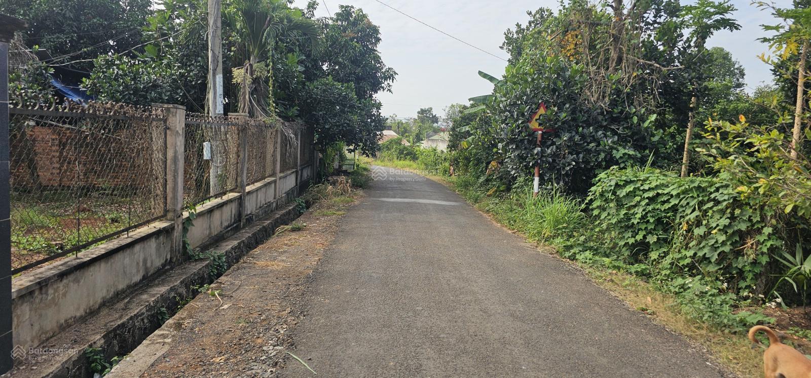 Bán mảnh đất sào láng lớn , có nhà, sát đường Mỹ Xuân Ngãi Giao