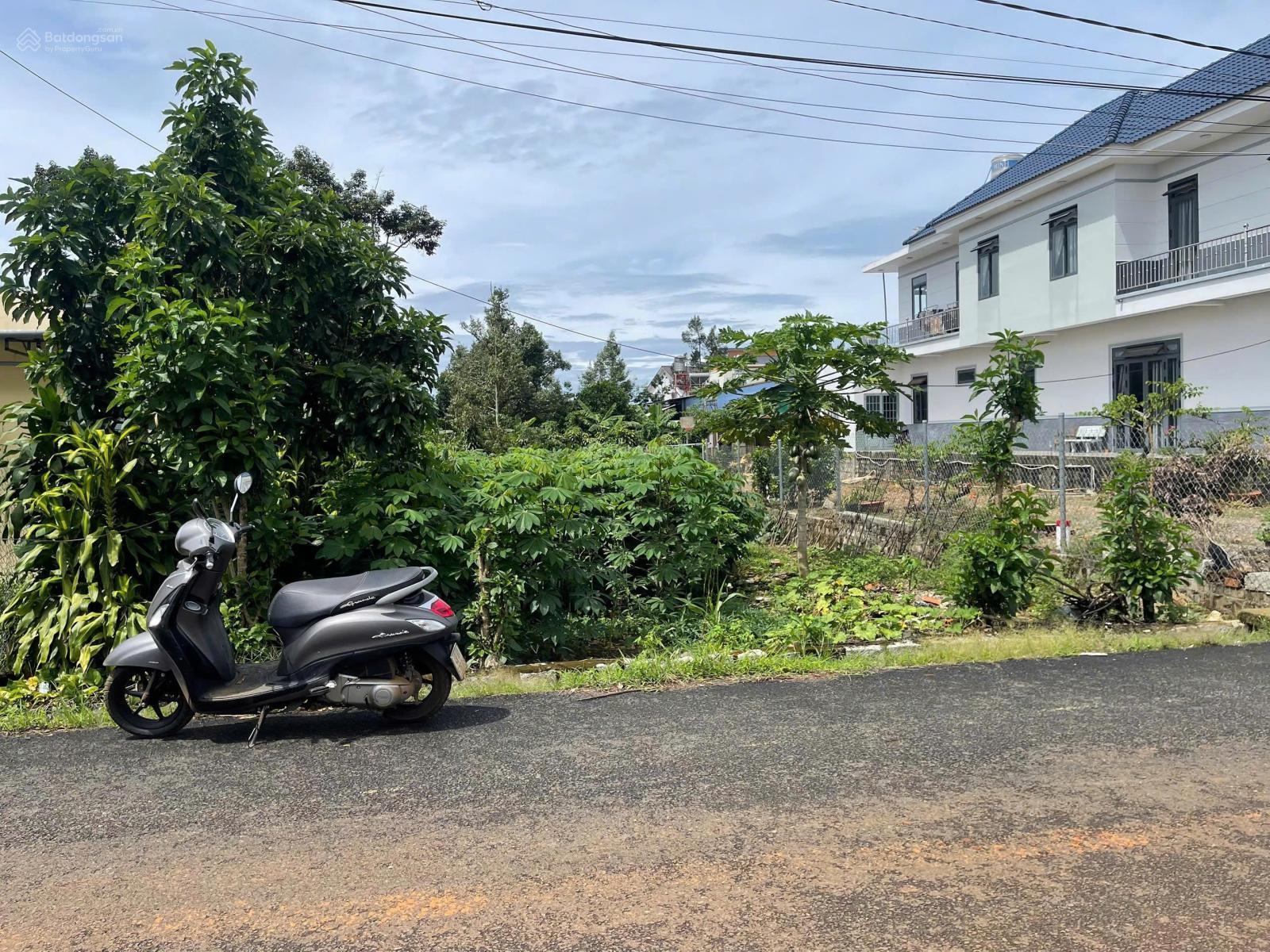 Đất Lê Phụng Hiểu - Bảo Lộc - DT 509m2 (10mx50m) sẵn 200m2 thổ cư đường nhựa lớn 2oto né nhau