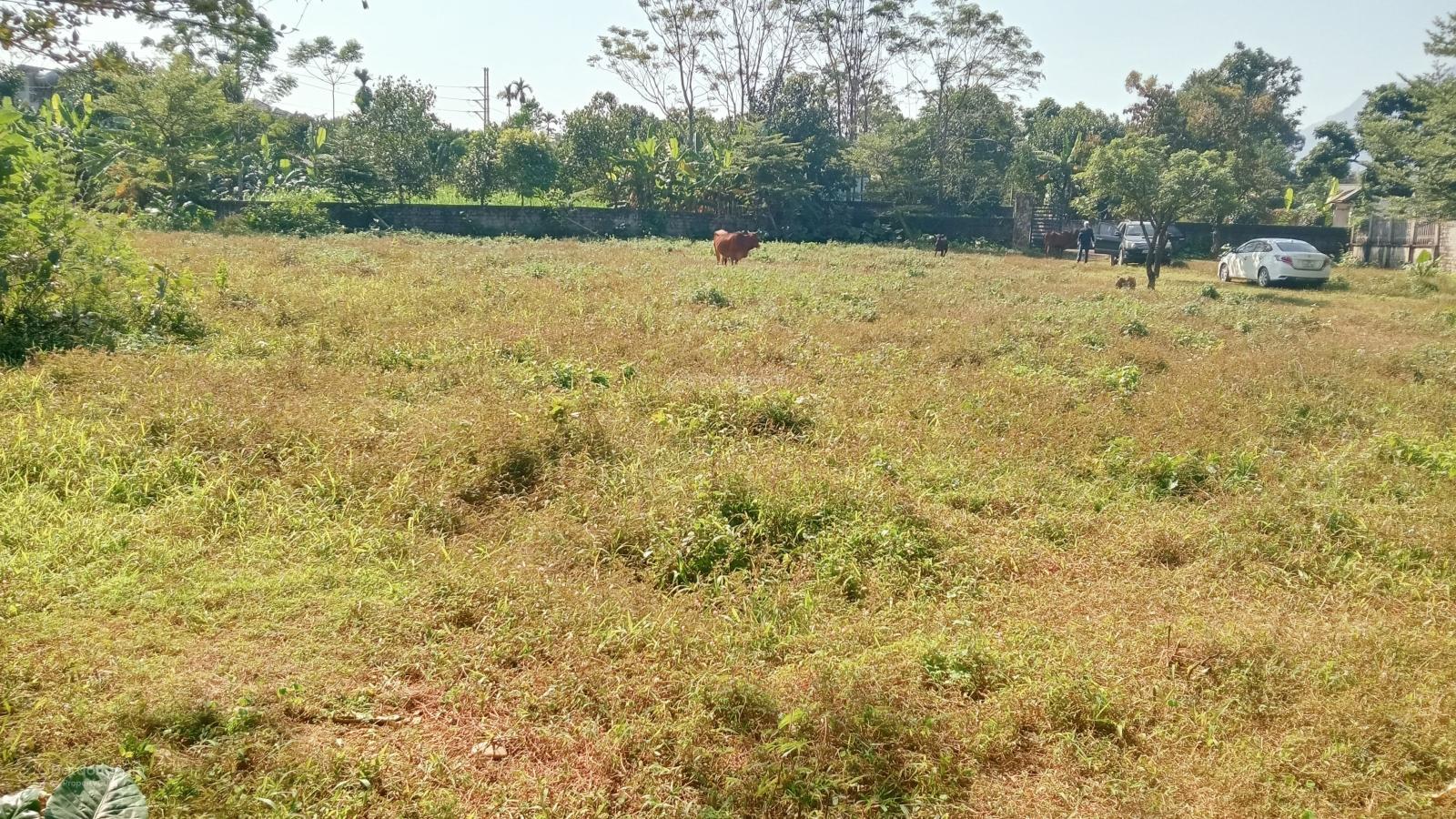 Bán đất bán suối 2.727m thổ cư 400 m bán chuối 40 mét tại Yên bài Hà Nội giá đầu tư .