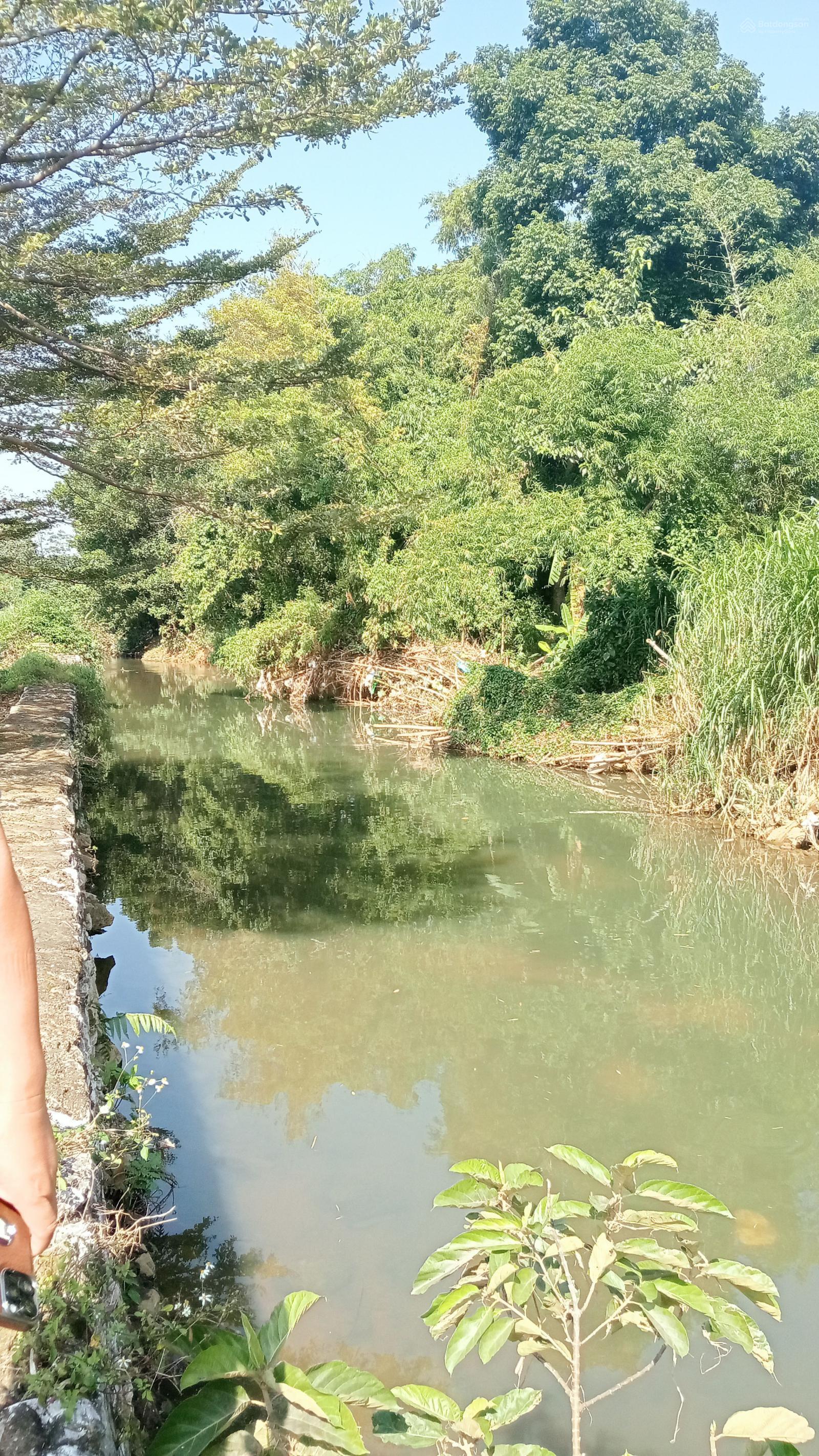 Bán đất bán suối 2.727m thổ cư 400 m bán chuối 40 mét tại Yên bài Hà Nội giá đầu tư .