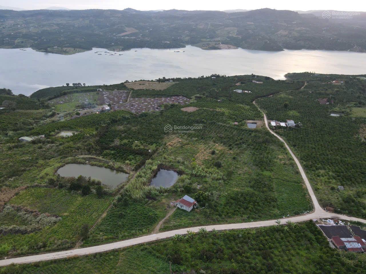 Bán đất view hồ di lâm liên Hà Lâm Hà Lâm Đồng