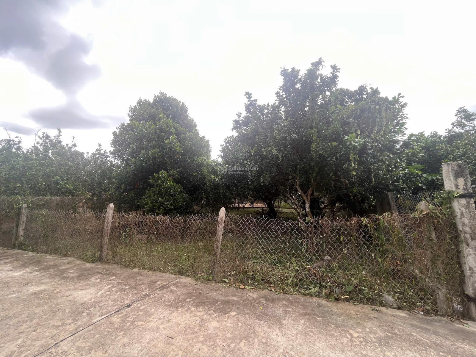 BÁN LÔ ĐẤT THỔ CƯ 335M2 SUỐI HIỆP SẴN VƯỜN BƯỞI Ô TÔ TỚI ĐẤT KHU DÂN CƯ GIÁ ĐỖ NỢ