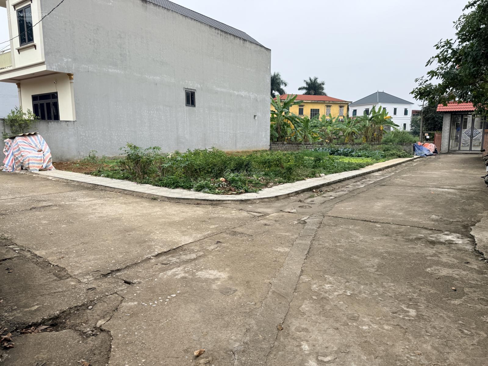 SIÊU PHẨM LÔ GÓC HÀNG (HIẾM)NGÕTHÔNG OTO THÔN 5 XÃ PHÚ CÁT HN DT 137,2M FULL TC,MT 6,77M GIÁ 5,3 TỶ SIÊU PHẨM LÔ GÓC HÀNG (HIẾM)NGÕTHÔNG OTO THÔN 5 XÃ PHÚ CÁT HN DT 137,2M FULL TC,MT 6,77M GIÁ 5,3 TỶ