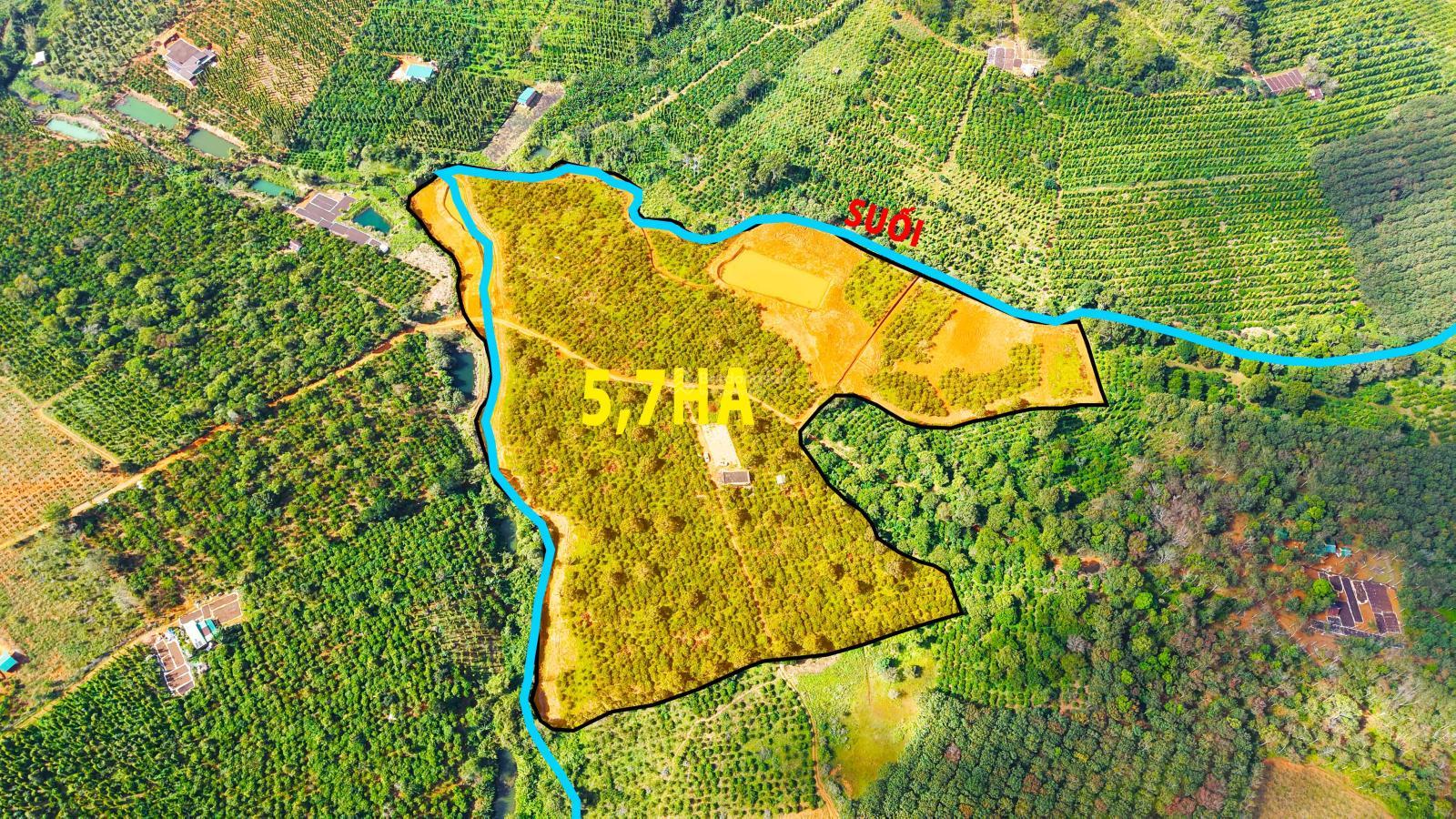 5,7ha coffee, đất bằng, kín gió, suối hồ nhà đầy đủ, khu dân cư đông