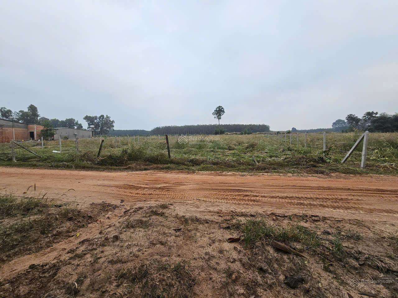 5x40 full thổ. Ngay gần cổng KCN Phước Đông 3200ha. 550tr