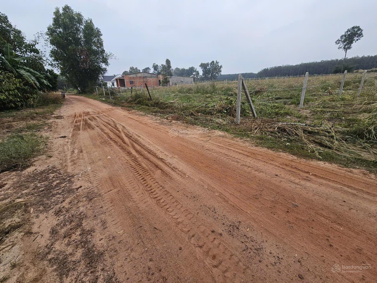 5x40 full thổ. Ngay gần cổng KCN Phước Đông 3200ha. 550tr