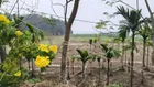 Mảnh đất 14,4m mặt đường TL414 gần điểm bus, view núi view sông cực thoáng, giao thông thuận tiện