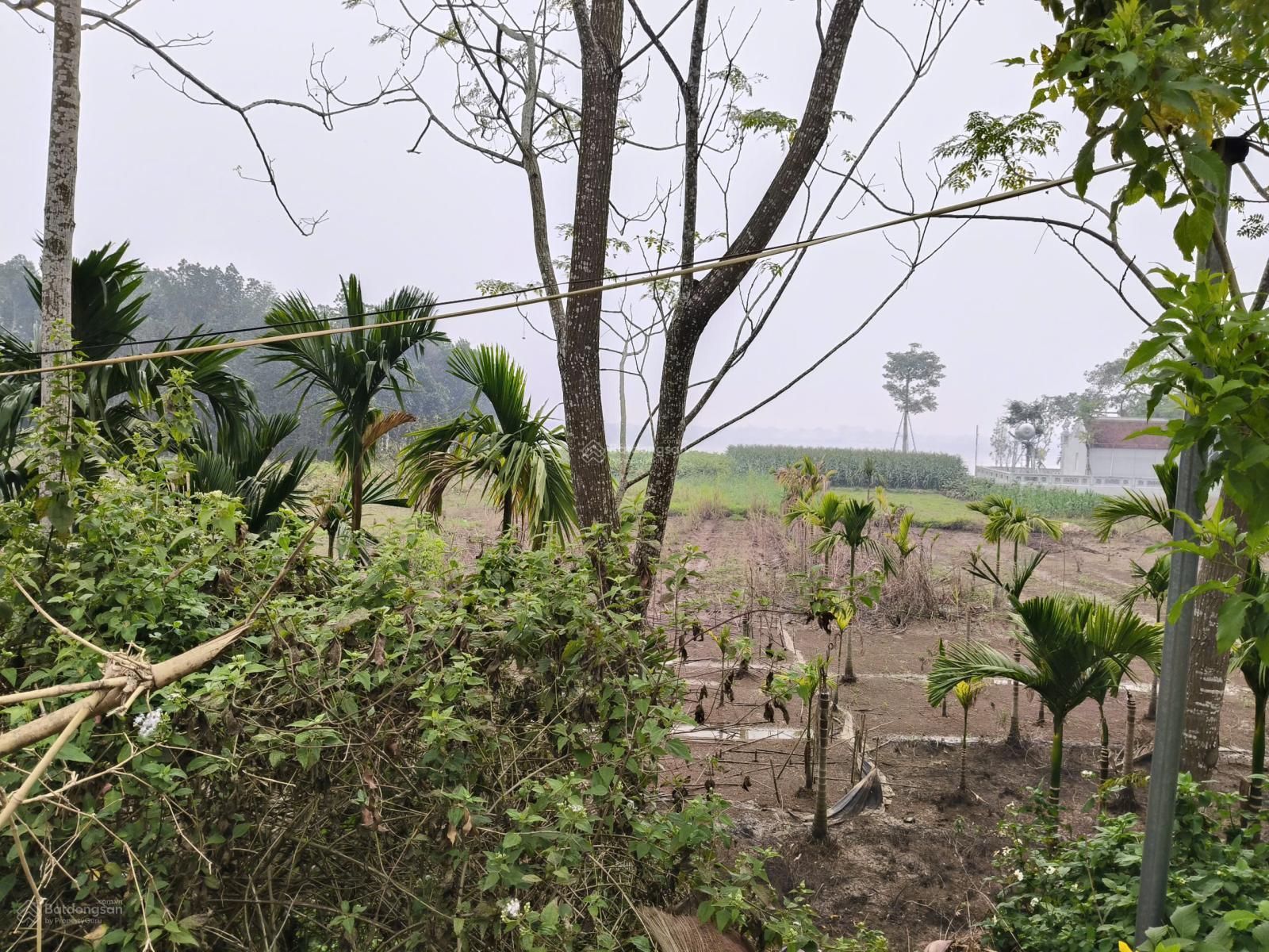 Mảnh đất 14,4m mặt đường TL414 gần điểm bus, view núi view sông cực thoáng, giao thông thuận tiện