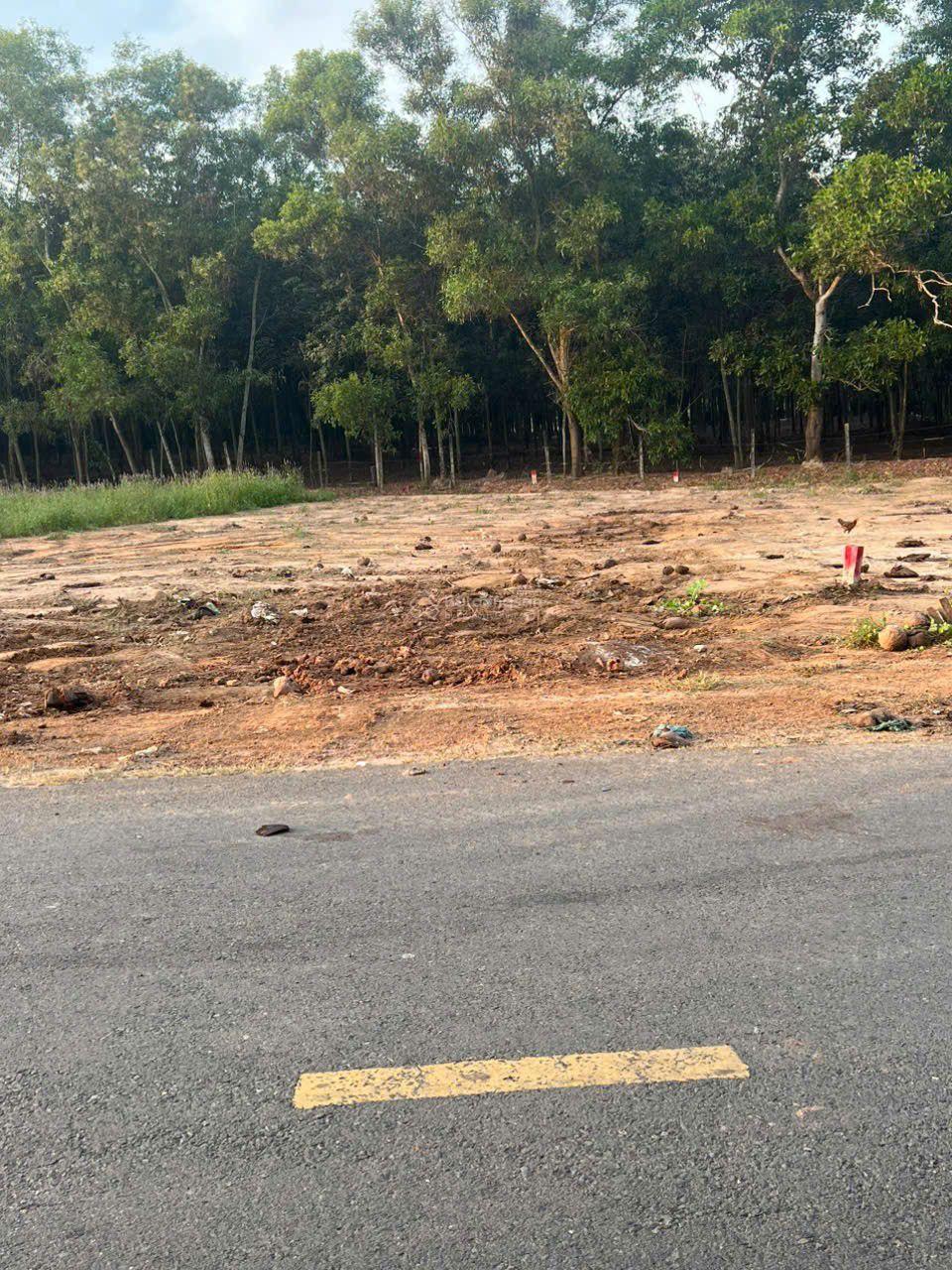 Đất ngay chợ Tự Phát_Chánh Phú Hoà