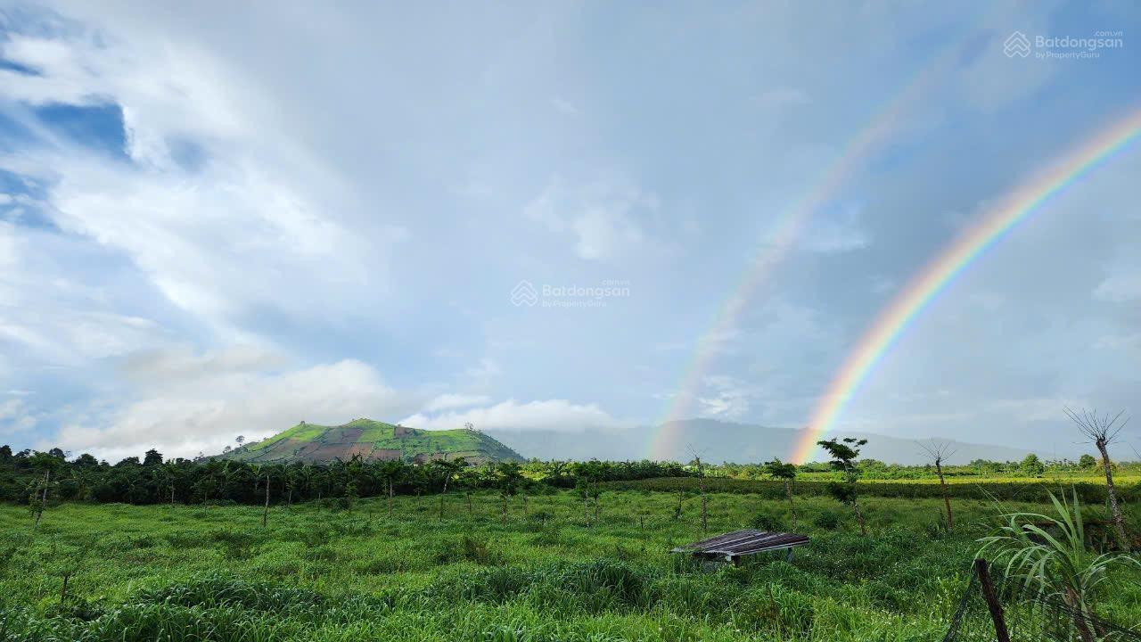 Đất trung tâm khu du lịch view nhìn ra núi Chư Đăng Ya và cánh đồng lúa Ngô Sơn , giá đầu tư