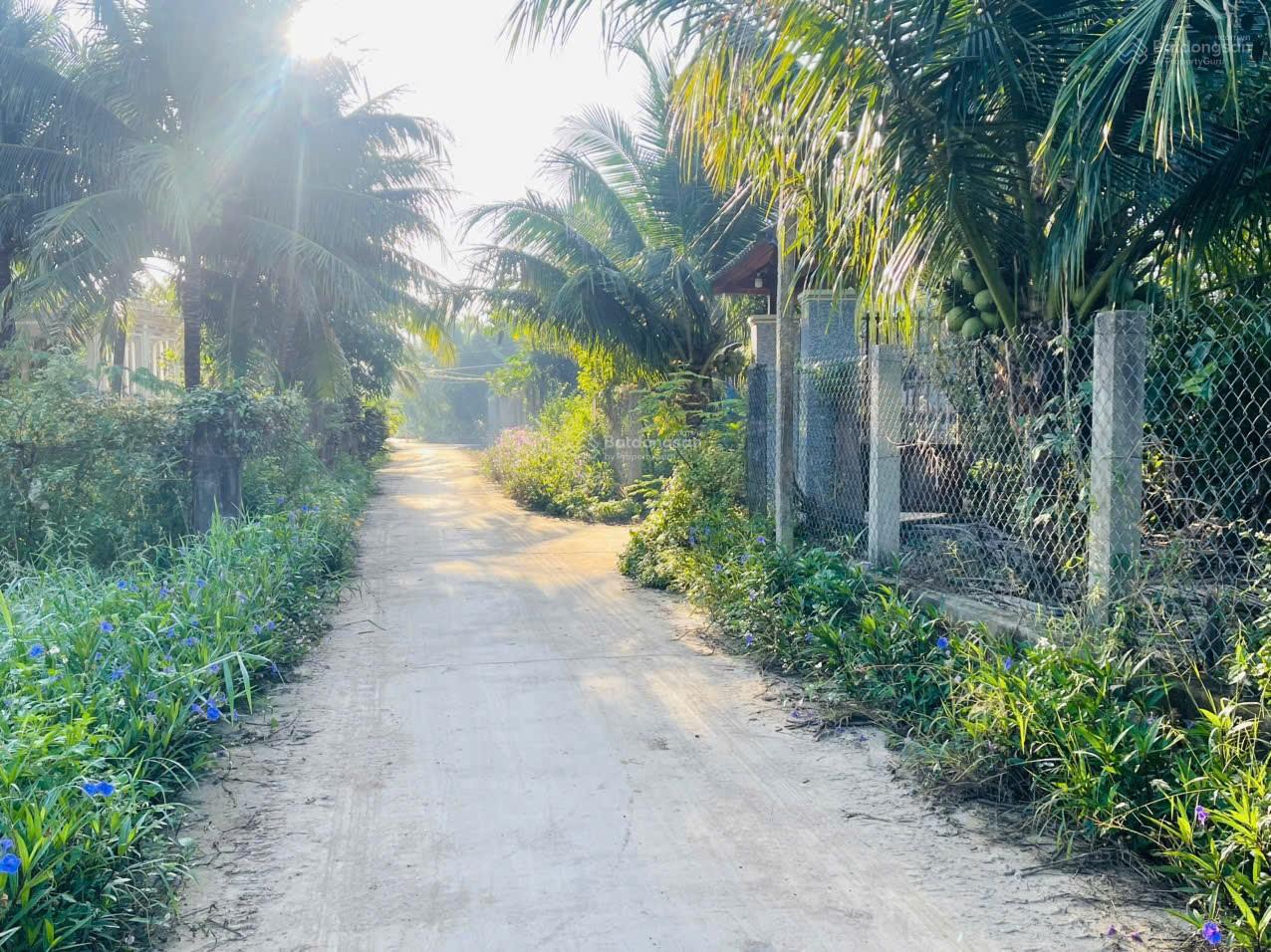 Cần bán 2 lô đất chính chủ tại Mỹ Lợi Ninh Lộc nay là xã Nam Ninh Hoà diện tích từ 147-157m2