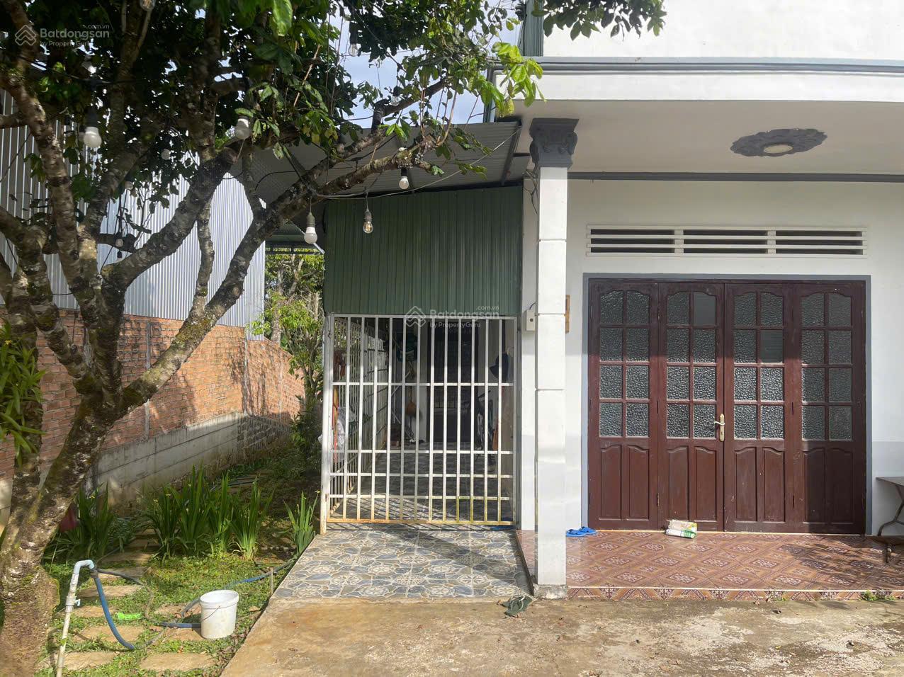 Nhà vườn Bảo Lộc - Hẻm nhựa 2 oto Lộc Châu - DT: 788m2 (13mx63m) sẵn thổ cư, đầy đủ cây ăn trái Nhà vườn Bảo Lộc - Hẻm nhựa 2 oto Lộc Châu - DT: 788m2 (13mx63m) sẵn thổ cư, đầy đủ cây ăn trái