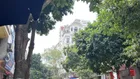 Bán gấp đất phân lô quân đội Long Biên 86m2, gần cầu Vĩnh Tuy, dân trí, giá 23.9 tỷ