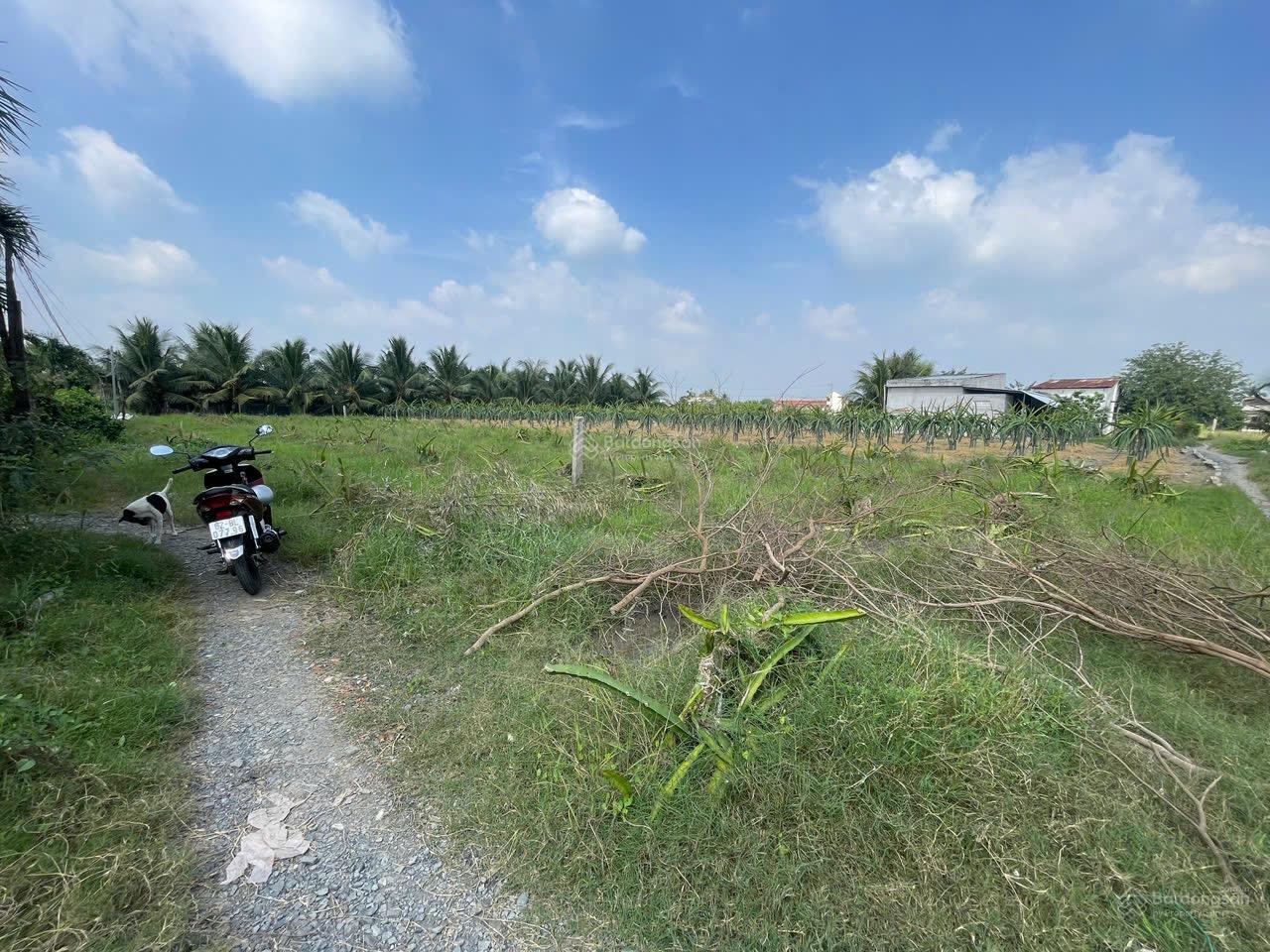 Bán 1016m2 đất (17x56) đường đá xanh đất cách Tỉnh Lộ 827A 400m, nhà dân đông đúc