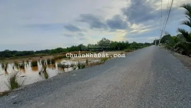 Bán đất đường Rạch Lá xã An Thới Đông, diện tích 2.655m2, giá 1 tr/m2