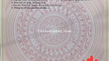 Đất ven biển xã Cát Tiến: diện tích 200m2 giá chỉ 1 tỉ 250 triệu. Full thổ cư, đường 16m, gần biển