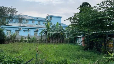 Vườn ngay trung tâm tp ngay quảng trường sau lưng bệnh viên tp giá tốt