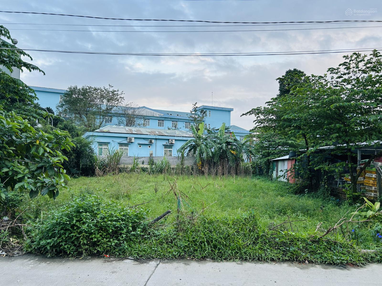 Vườn ngay trung tâm tp ngay quảng trường sau lưng bệnh viên tp giá tốt