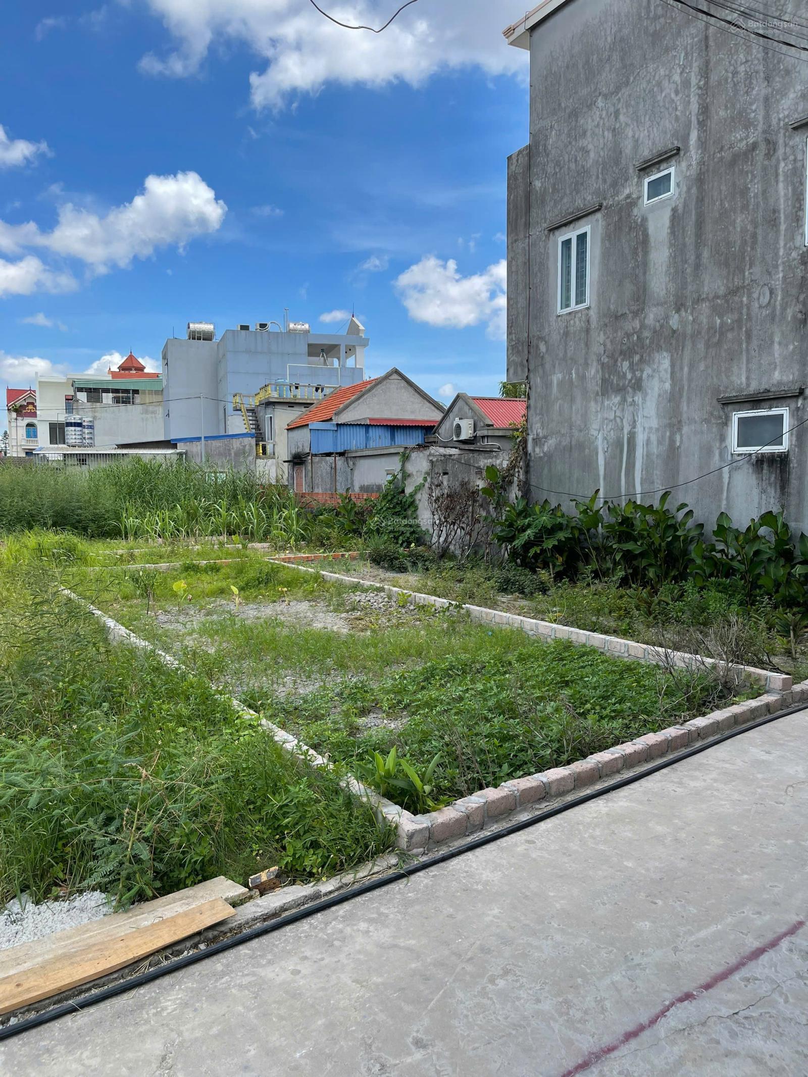 Bán lô đất Tại Hoa Đông, Ngay sát trục đường 203. Giá siêu hời