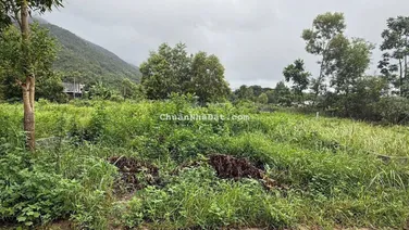 BÁN LÔ ĐẤT ĐẸP PHƯỚC HẠ NAM NHA TRANG GIÁ CHỈ 1 TỶ 600 (bao thuế phí)