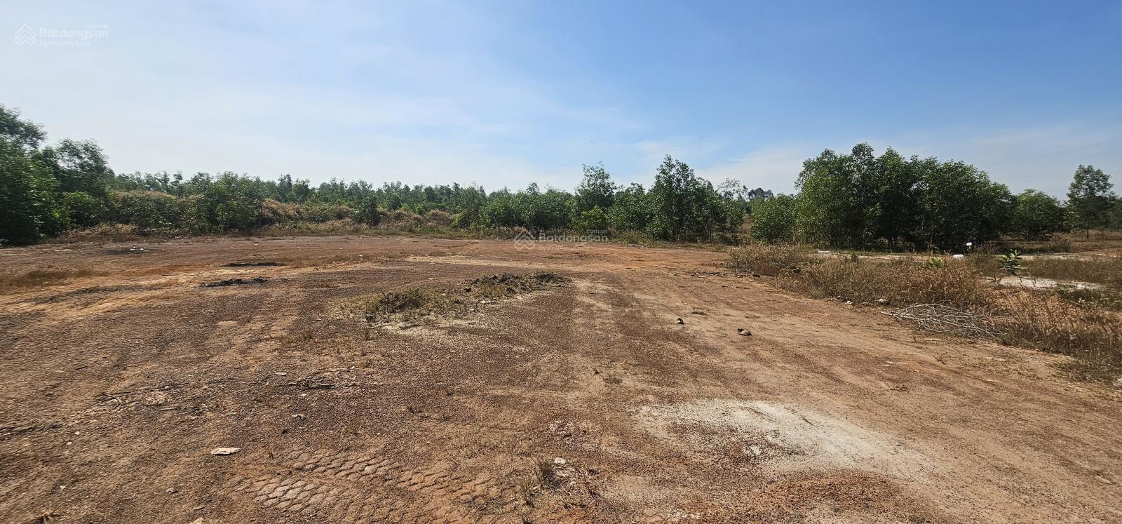 Bán 6 ha đất thổ cư, đường Phước Tân Hội Bài, gần 400m mặt đường