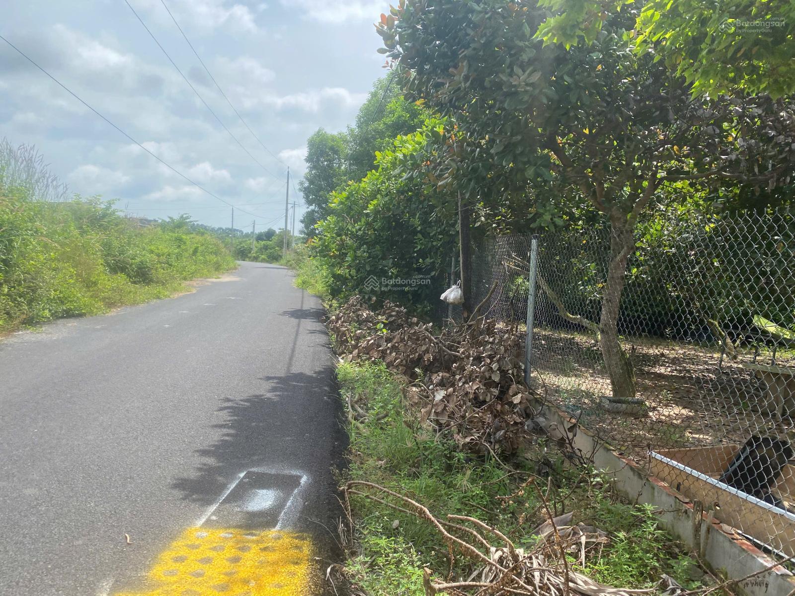 Bán đất mặt tiền đường nhánh Xuyên Phước Cơ, TT Phước Bửu, Xuyên Mộc, Bà Rịa Vũng Tàu 587m2(13x45)m