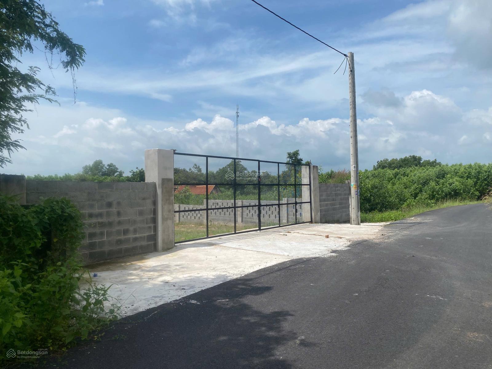 Bán đất mặt tiền đường nhánh Xuyên Phước Cơ, TT Phước Bửu, Xuyên Mộc, Bà Rịa Vũng Tàu 587m2(13x45)m