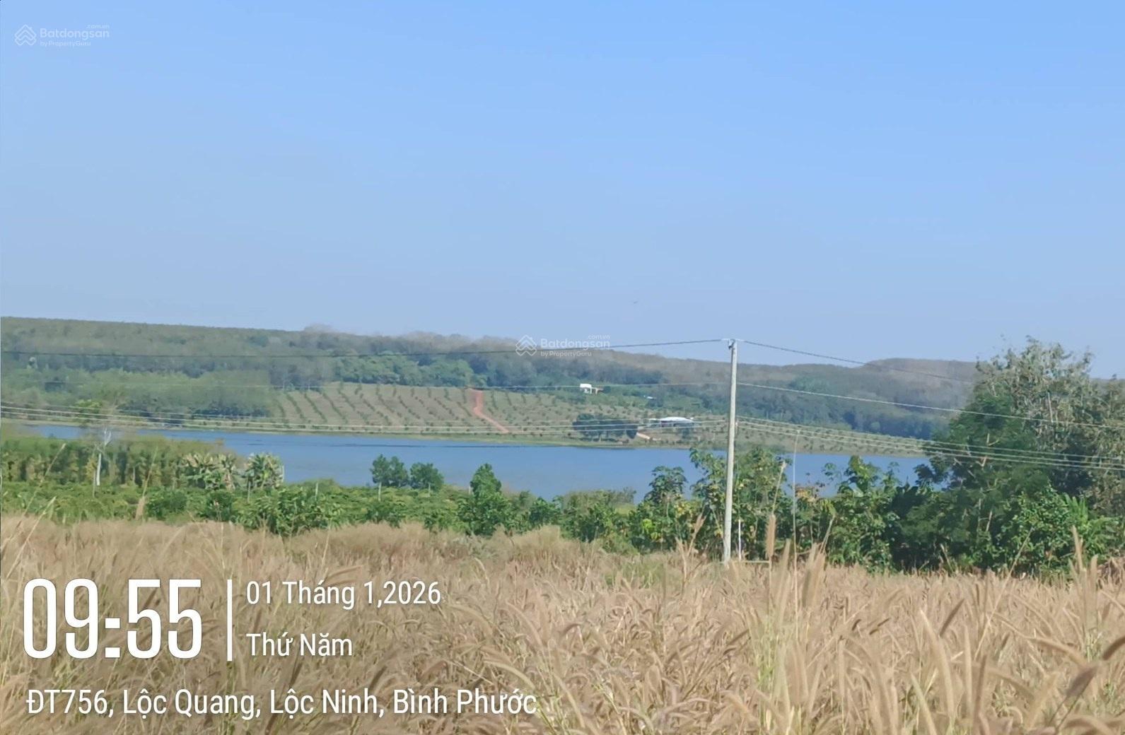 Bán đất tại Xã Lộc Quang, Lộc Ninh, Bình Phước, 2,6 tỷ, 4000 m2, đẹp, nhiều tiện ích chỉ với