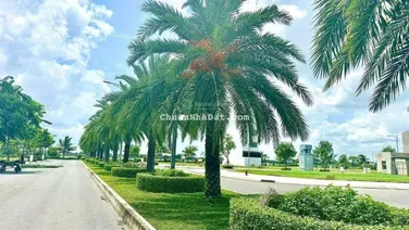 Chủ ngộp cắt lổ lô đất 100m2 ngay đường Nguyễn Hữu Trí - đối diện Eco Retreat, SHR - giá 1tỷ950