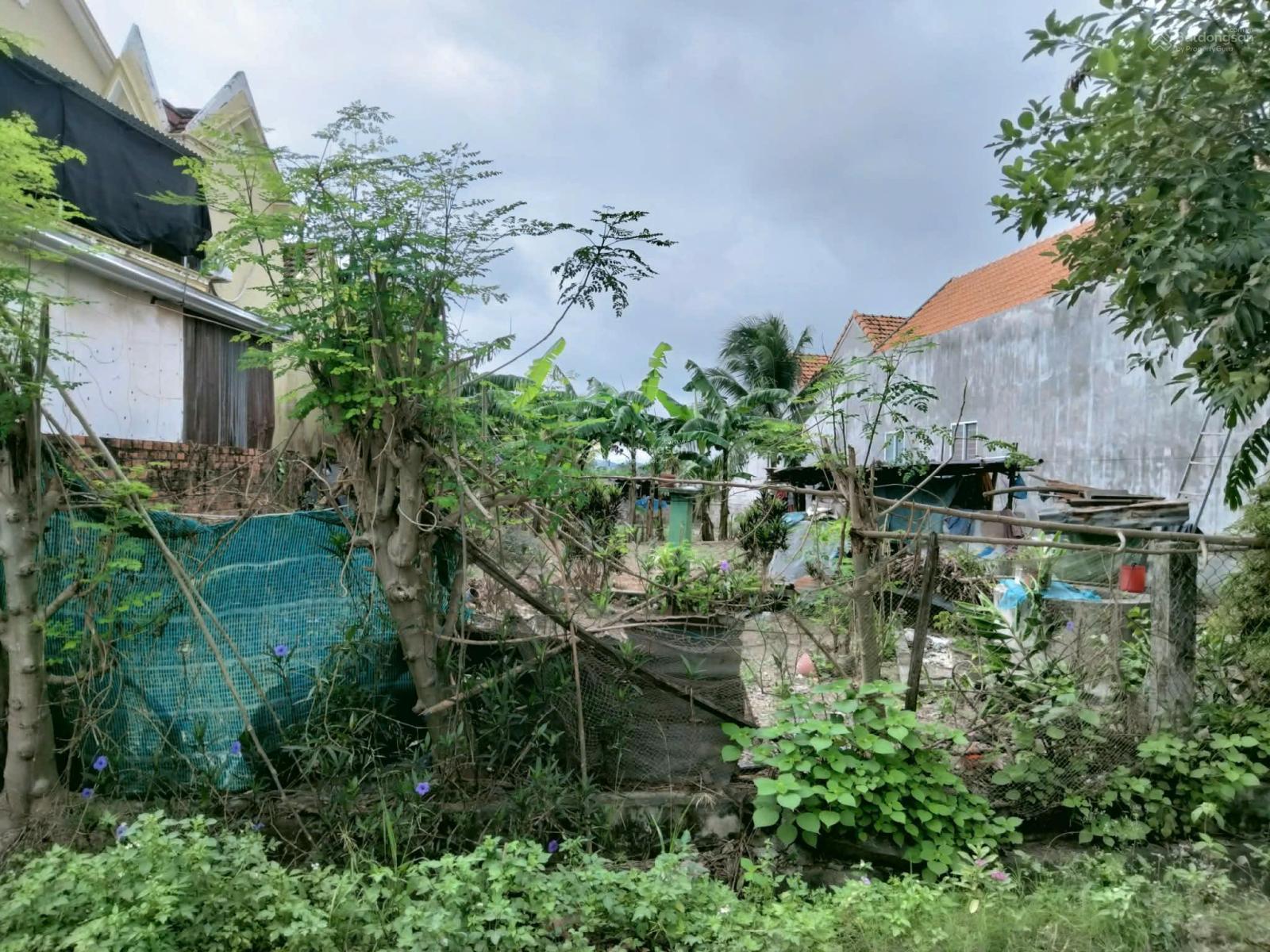 Bán 250m2 đất tại Ninh Thân, Ninh Hòa, Khánh Hòa. Giá chỉ 790tr có thương lượng