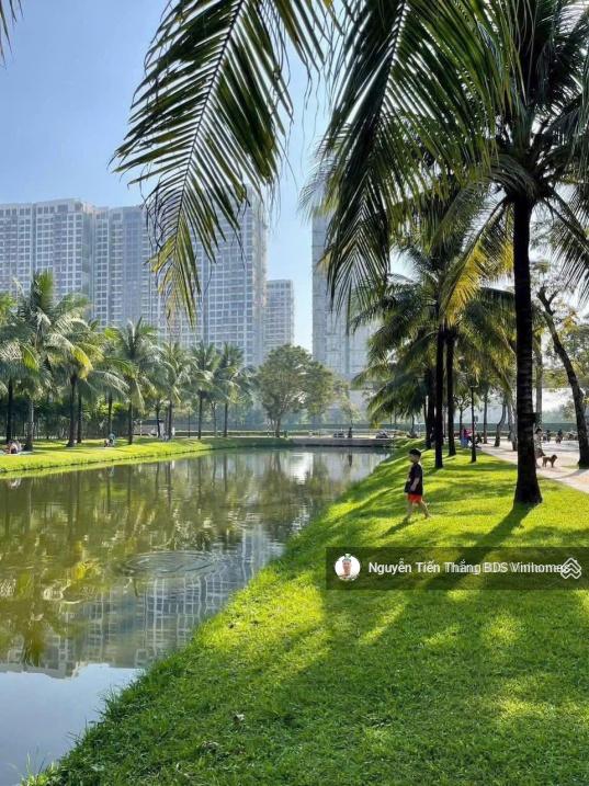 Tổng hợp quỹ căn 2N, 2N+ đẹp nhất, giá tốt nhất tại Vinhomes Grand Park, Q9, TP. Hồ Chí Minh Tổng hợp quỹ căn 2N, 2N+ đẹp nhất, giá tốt nhất tại Vinhomes Grand Park, Q9, TP. Hồ Chí Minh