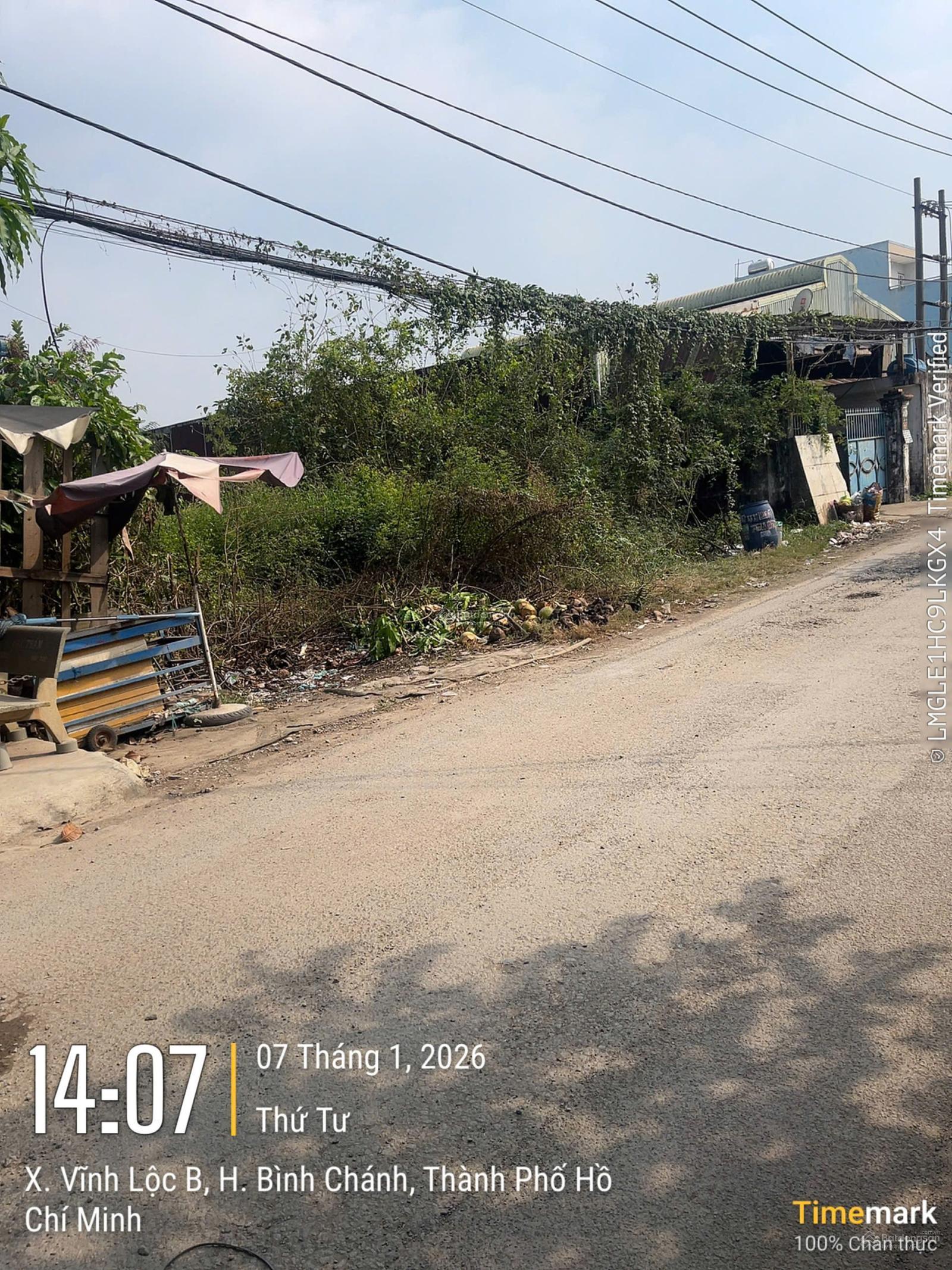 Bán đất 687m2, mặt đường, 6D, Vĩnh Lộc B, Bình Chánh