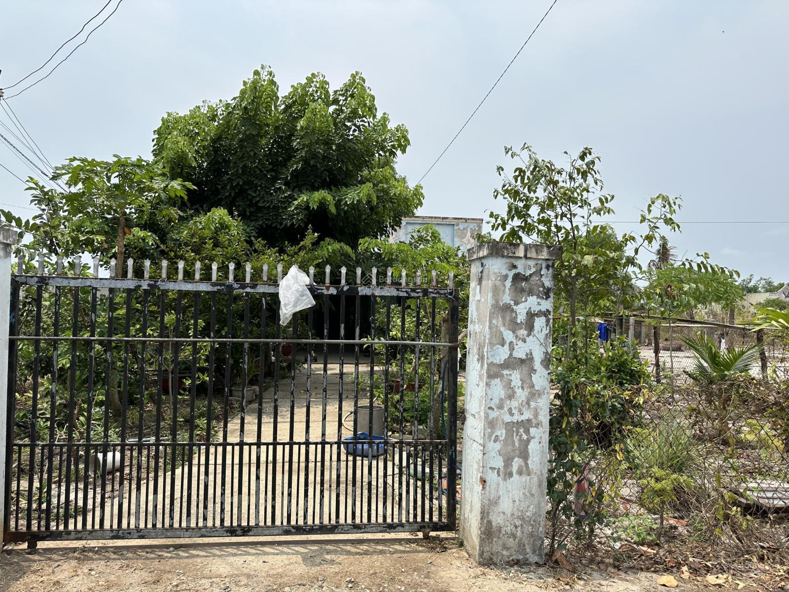 Bán 3.5 sào đất thổ cư hẻm Quốc Lộ 55, Tân Phước, LaGi giá ngộp gần biển