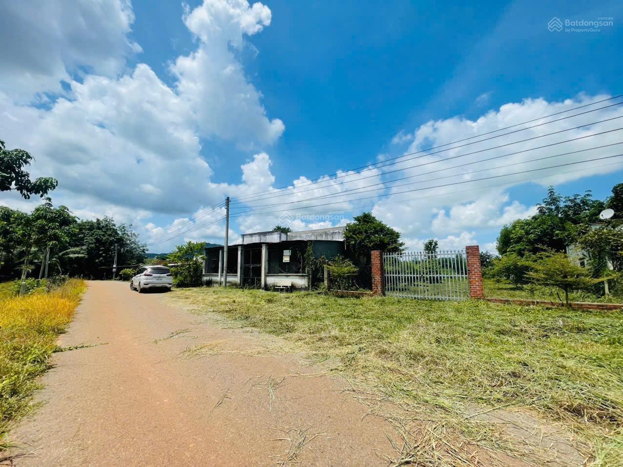 Khách cần bán gấp lô đất 12x93m view Hồ Dầu Tiếng giá 1,75 tỷ, thương lượng