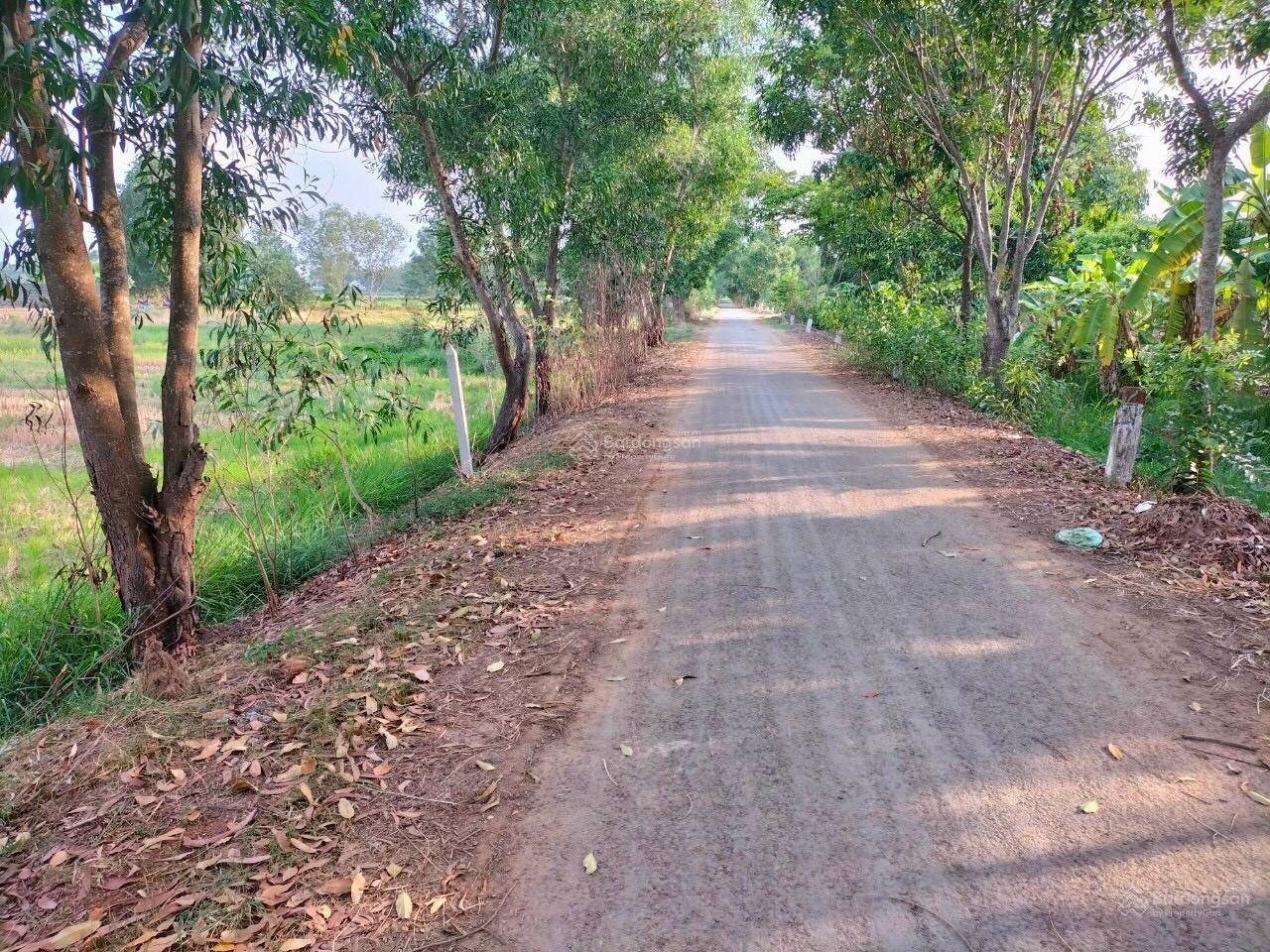 Bán đất mặt tiền đường Bưng Tràm, Xã Tân Thạnh Tây, Củ Chi, 1033m², 22x46m, 4.5 tỷ Bán đất mặt tiền đường Bưng Tràm, Xã Tân Thạnh Tây, Củ Chi, 1033m², 22x46m, 4.5 tỷ