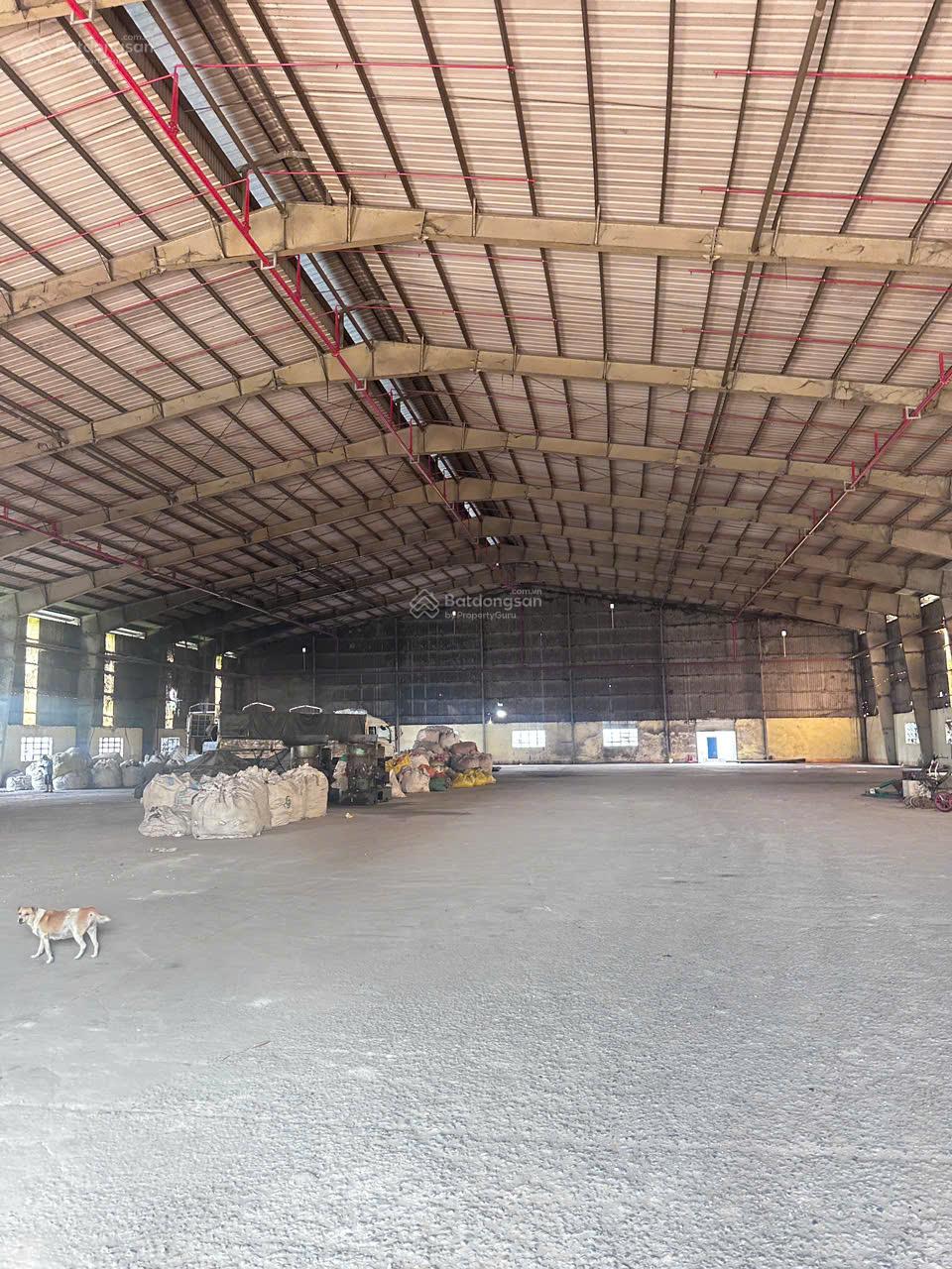 Kho xưởng cho thuê Đức Hòa, Long An, DT: 8,000m2