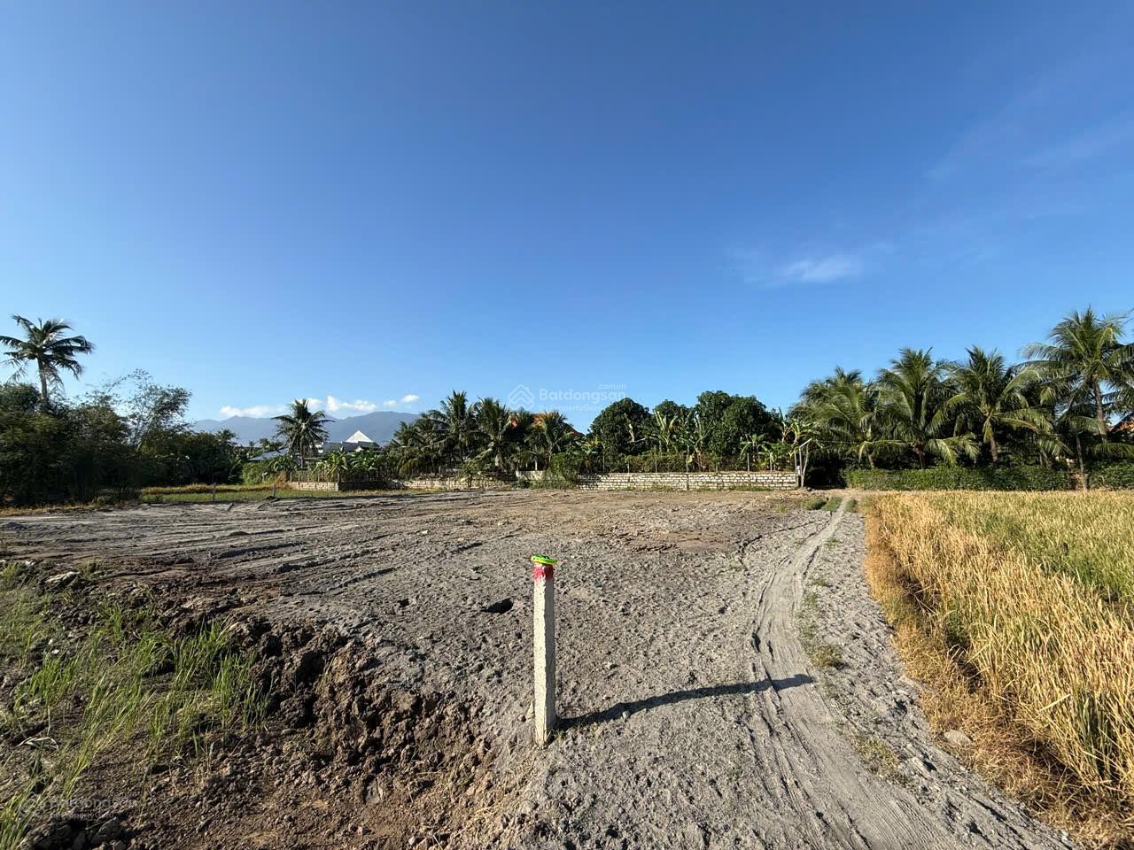 Tôi cần bán 157m2 full thổ đất Phú Hoà Ninh Quang Tân Định Ninh Hoà chỉ hơn 300tr xây nhà vô tư