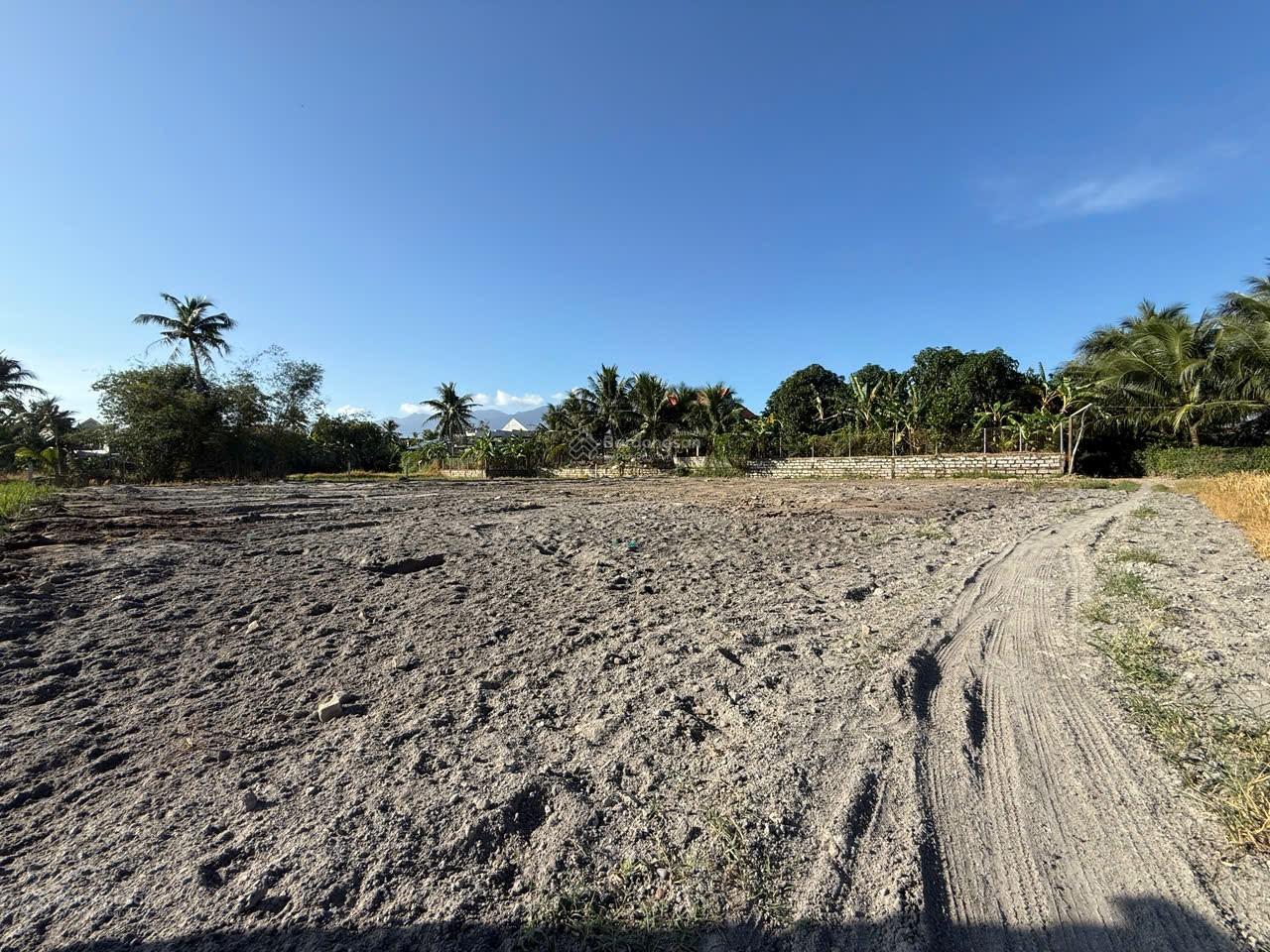 Tôi cần bán 157m2 full thổ đất Phú Hoà Ninh Quang Tân Định Ninh Hoà chỉ hơn 300tr xây nhà vô tư