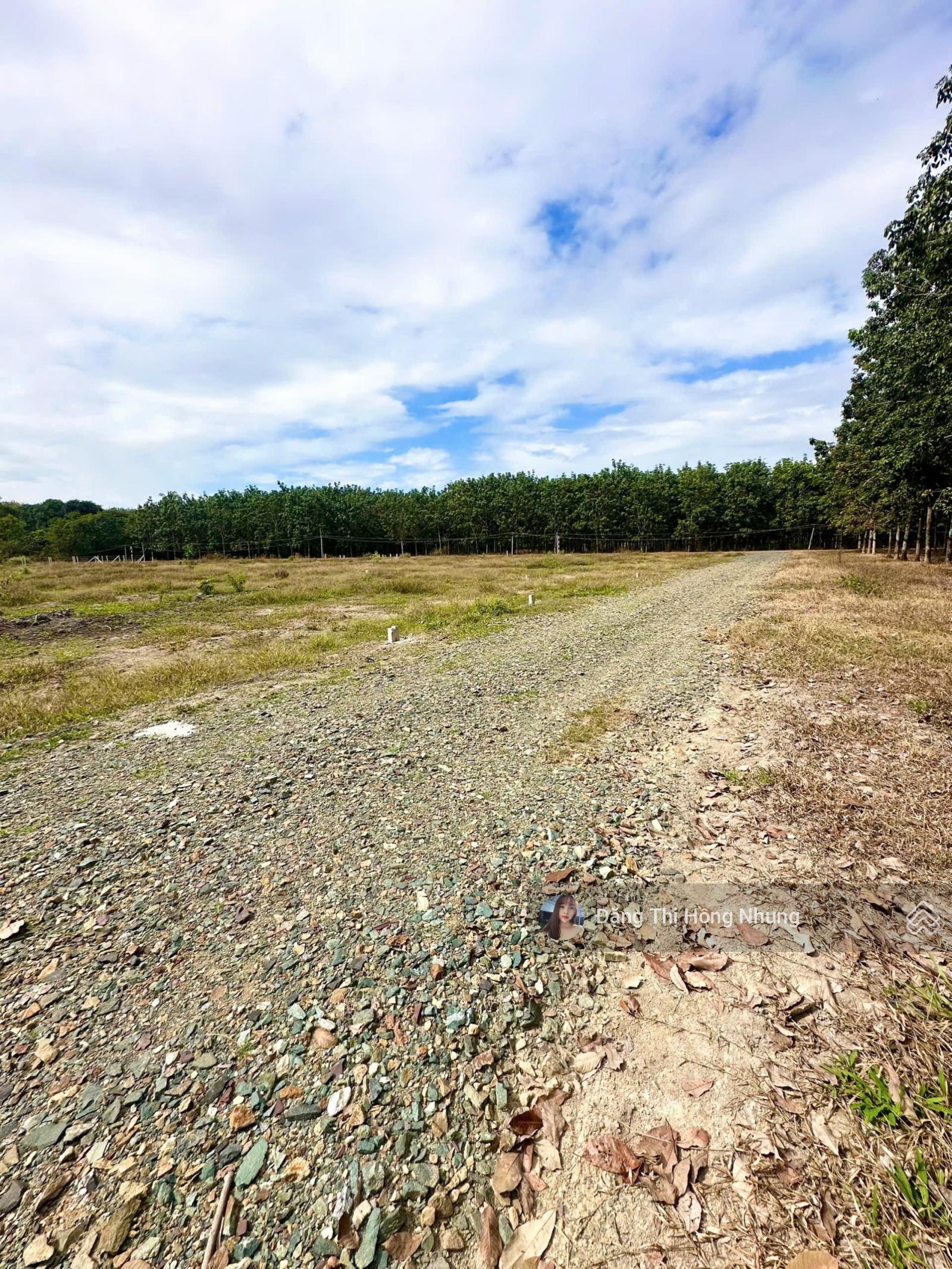 290tr, 5x25m full thổ cư, Lộc Ninh, Tây Ninh, đường 6m thông 290tr, 5x25m full thổ cư, Lộc Ninh, Tây Ninh, đường 6m thông