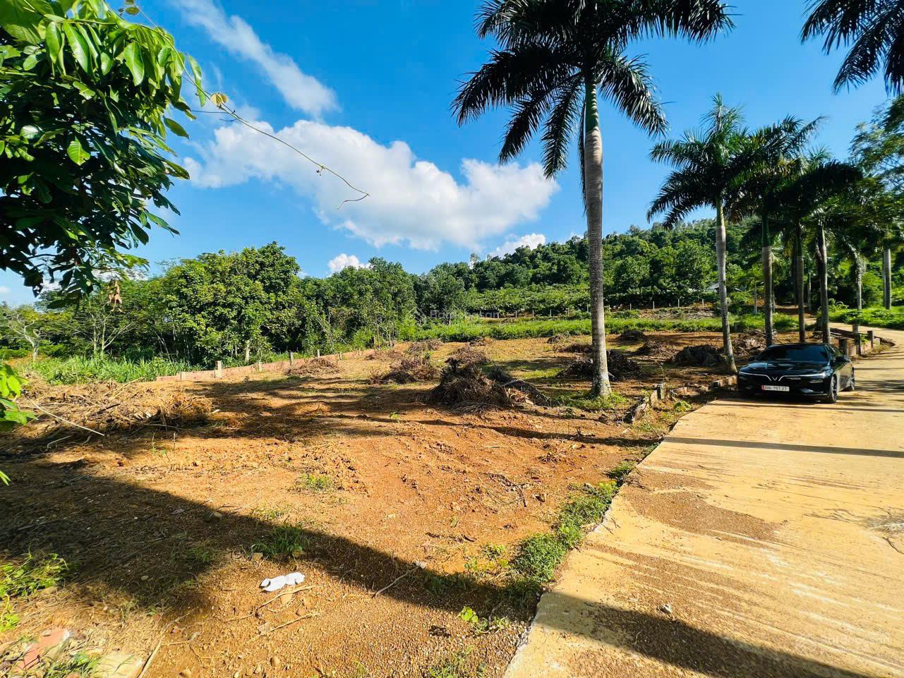 Đất Yên Bài 50m mặt tiền, đường quy hoạch mở rộng 29m thuộc quần thể nghỉ dưỡng cách TT Hà Nội 40km