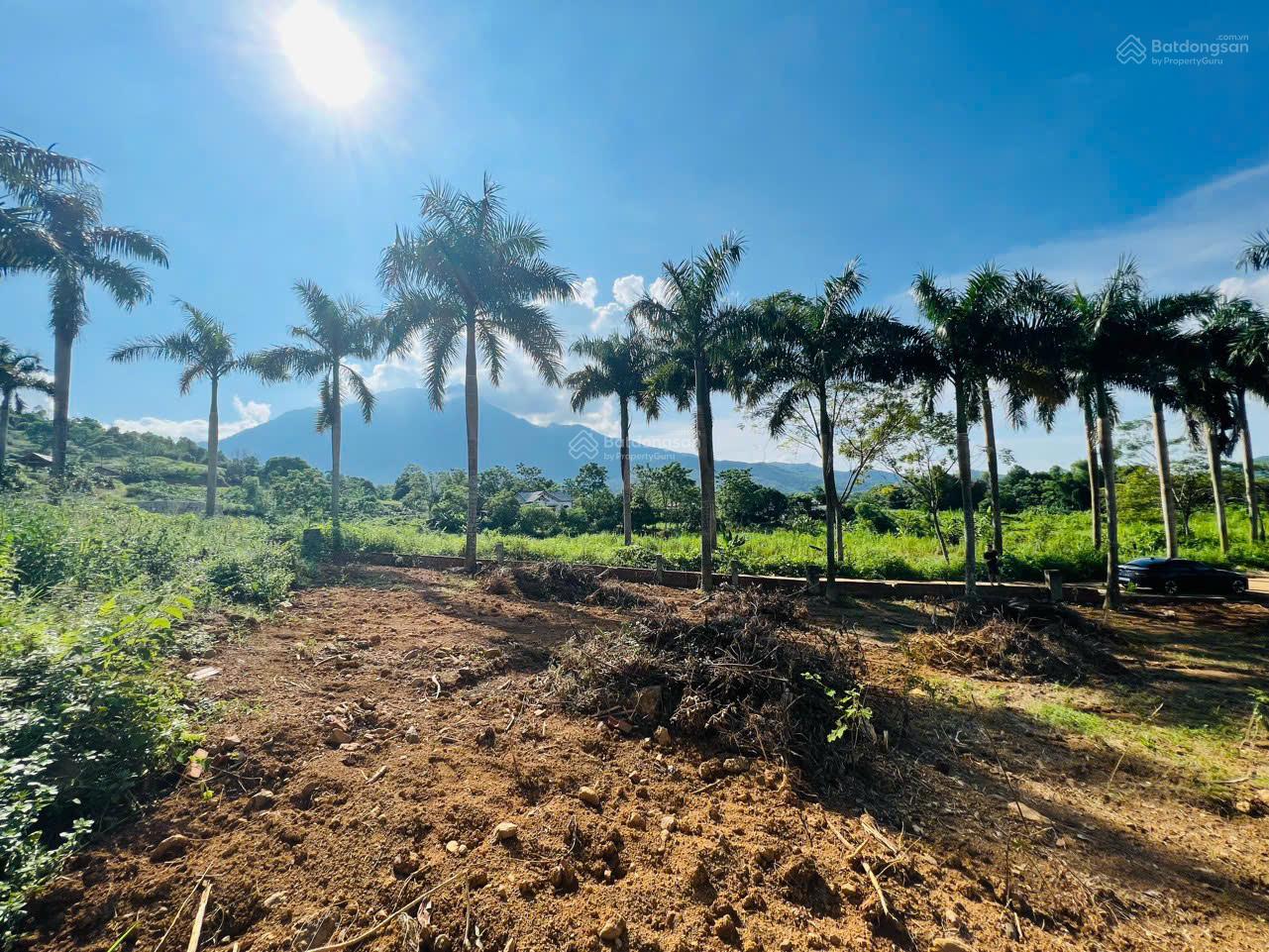 Đất Yên Bài 50m mặt tiền, đường quy hoạch mở rộng 29m thuộc quần thể nghỉ dưỡng cách TT Hà Nội 40km