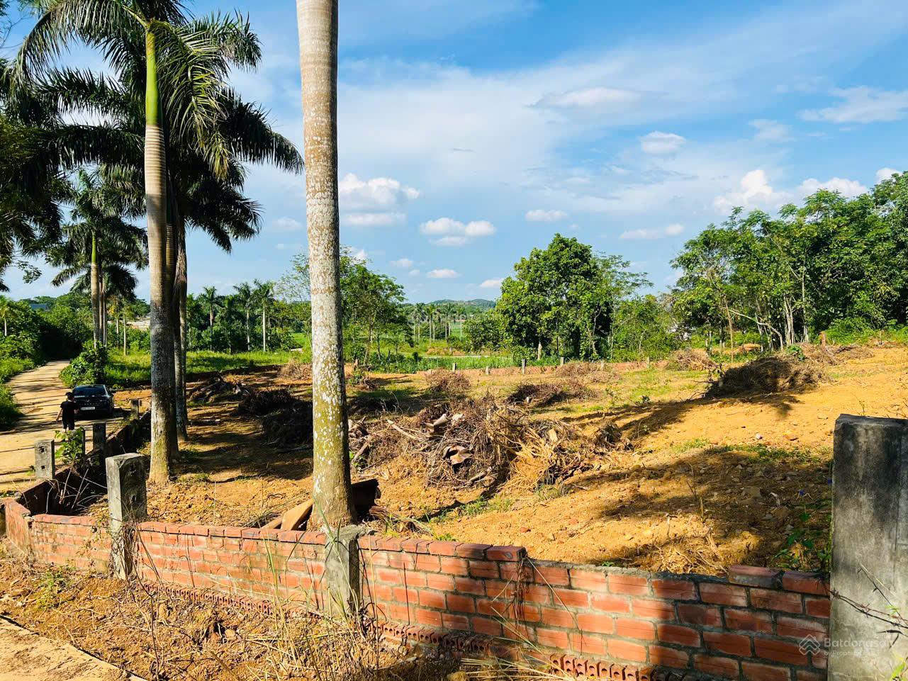 Đất Yên Bài 50m mặt tiền, đường quy hoạch mở rộng 29m thuộc quần thể nghỉ dưỡng cách TT Hà Nội 40km