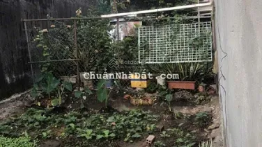 BÁN ĐẤT HẺM XE HƠI THÔNG P PHÚ HỮU QUẬN 9 70M2 4X17M NỞ HÂU SỔ HỒNG RIÊNG 0764 994 ***