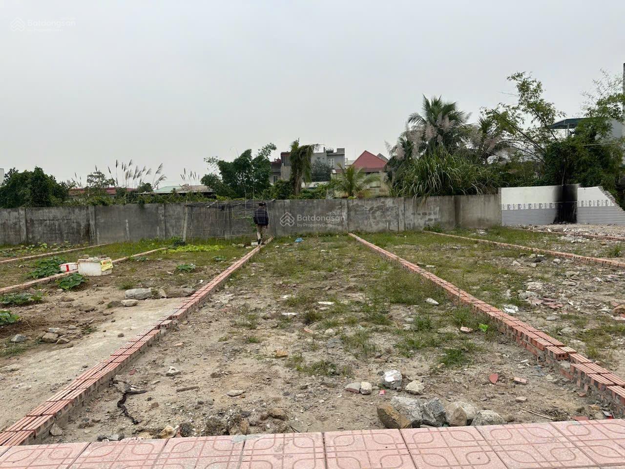 Bán lô đất 68m2 chính chủ tại trung tâm thị trấn Trường Sơn An Lão (Xã An Lão) Hải Phòng