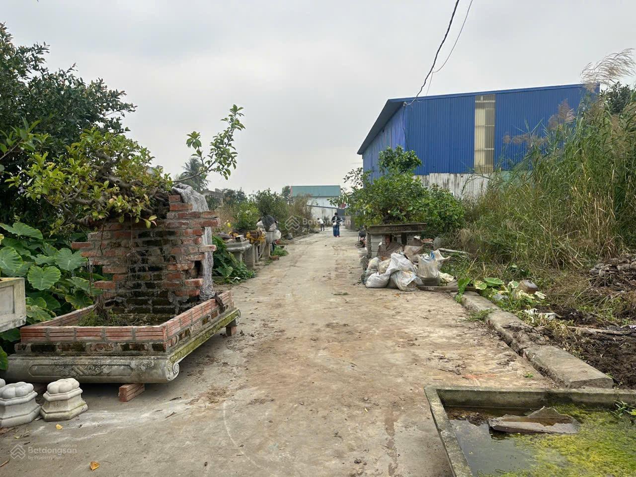 Bán lô đất 77m2 chính chủ tại Câu Trung Quang Hưng An Lão ( An Quang ) Hải Phòng Bán lô đất 77m2 chính chủ tại Câu Trung Quang Hưng An Lão ( An Quang ) Hải Phòng