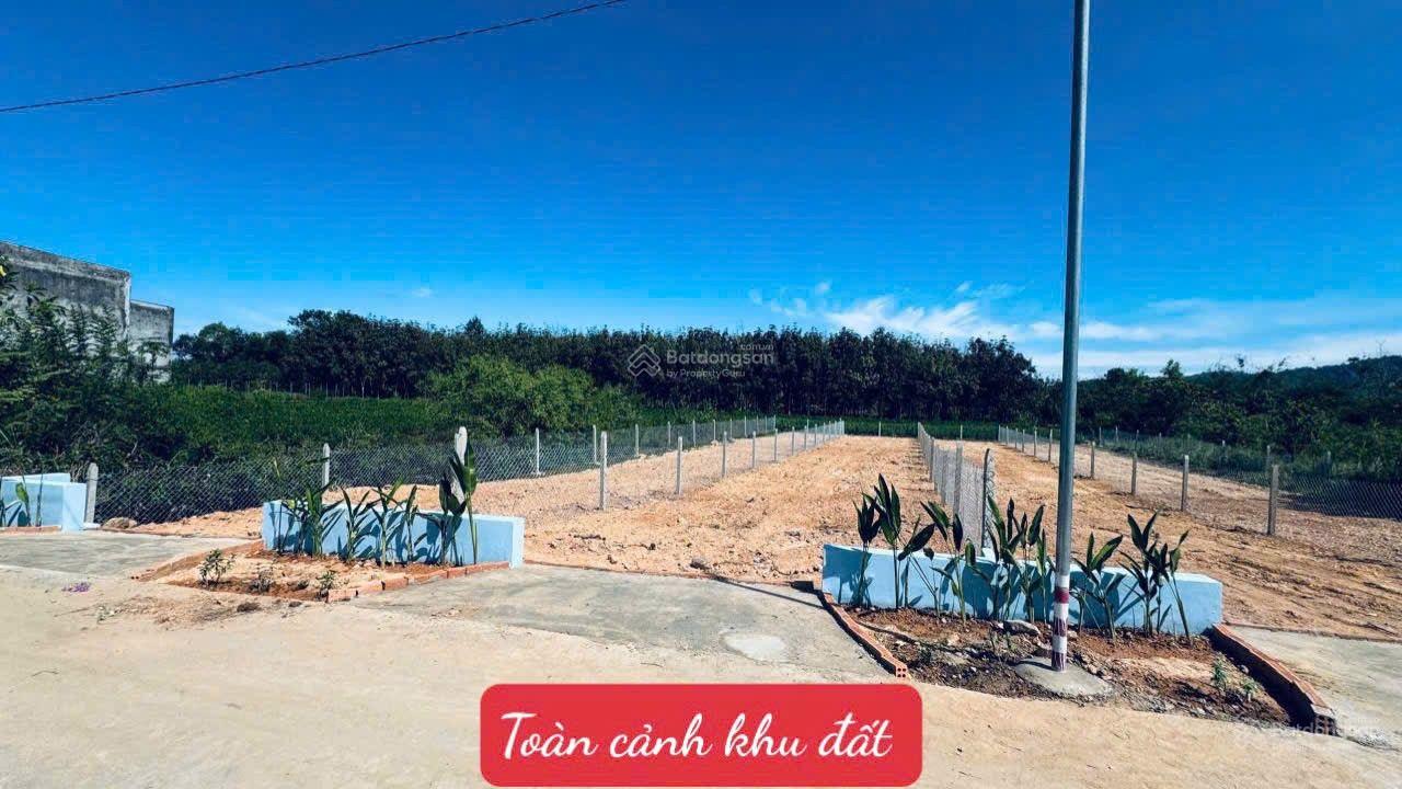 Đất sát thị trấn Đạ Tẻh - Lâm Đồng DT 6*45m full thổ cư đường bê tông tặng hàng rào chỉ 309tr