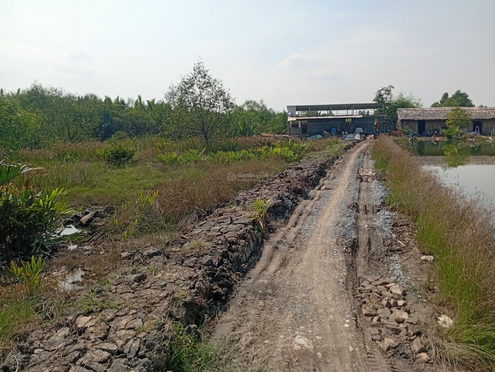 Bán đất nông nghiệp 3100m2. Đường xe hơi xã Bình Khánh. Cách đường Bà Xán 400m