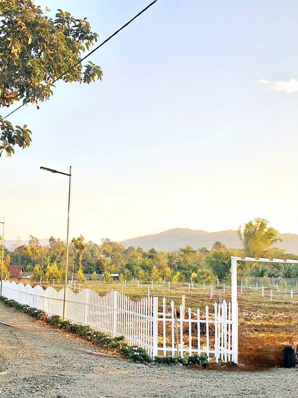 Bán đất sát Quốc Lộ 27, nhà thờ, có nước máy DT 179m2 sẵn thổ chỉ 2xxtr tại Cư Kuin - Đắk Lắk