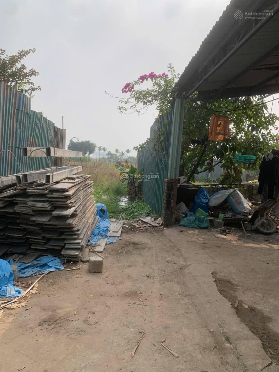 Cần bán đất ruộng 1000m2, MT 25m, nhà lán tạm, công trình phụ, 1.65 tỷ, Bắc Hồng, Đông Anh