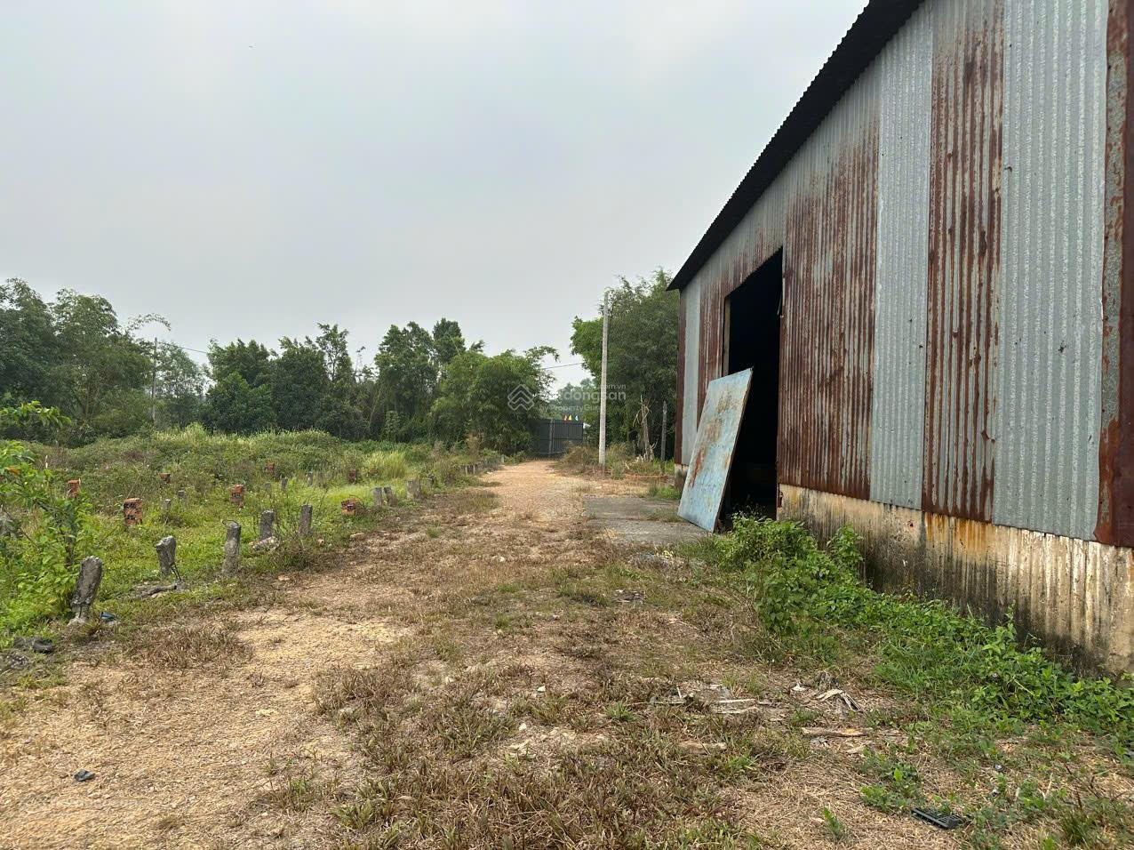 Chính chủ bán 1,7ha sát Vinhomes Củ Chi cách hơn 200met, giá 1,45tr/m2 sổ hồng đường nhựa